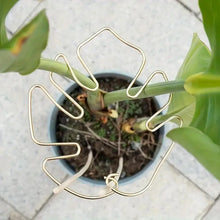 Plant Support Ring