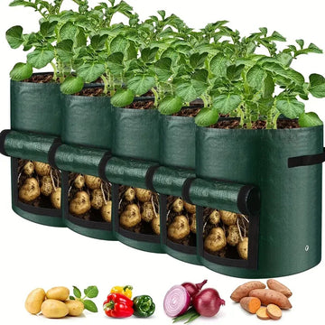 Vegetable Grow Bags