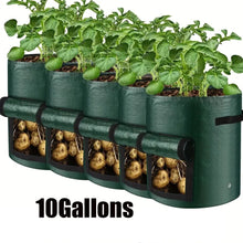 Vegetable Grow Bags