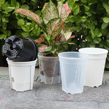Self‑Watering Plant Pot