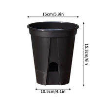 Self‑Watering Plant Pot