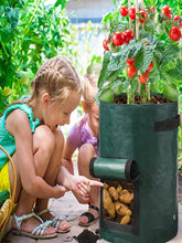 Vegetable Grow Bags