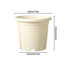 Self‑Watering Plant Pot