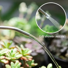 Long Spout Watering Can