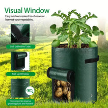 Vegetable Grow Bags