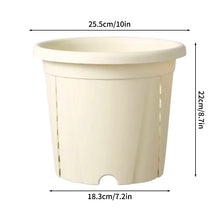 Self‑Watering Plant Pot