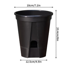 Self‑Watering Plant Pot