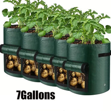 Vegetable Grow Bags