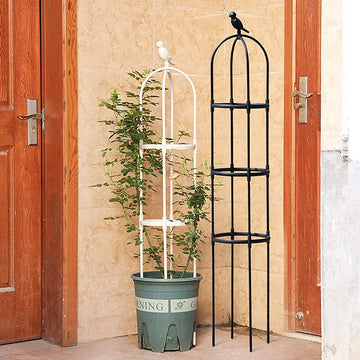 Slim Pot Plant Trellis