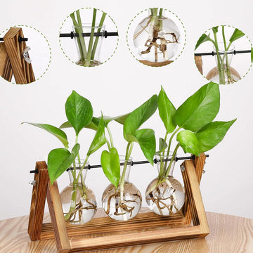 Wooden Hydroponic Plant Vase Stand
