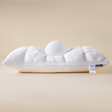Goose Down Pillow